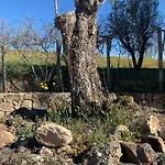 Сasa de vacaciones Quinta Dos Cedros L *
