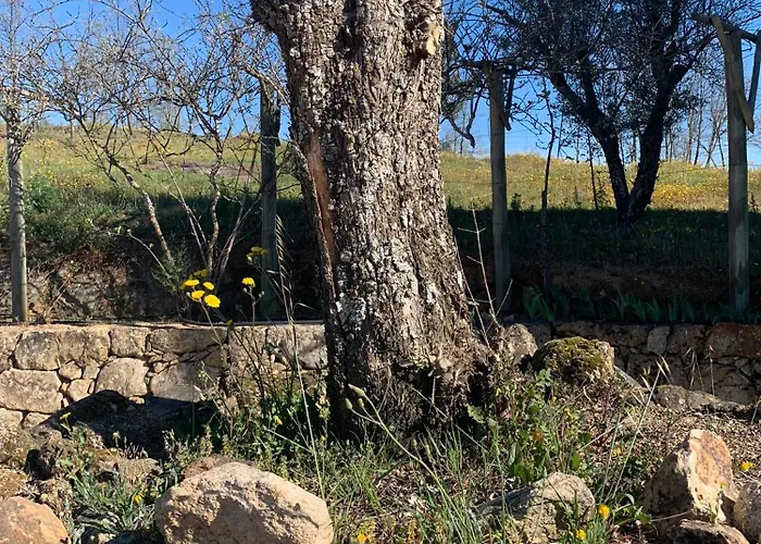 Casa vacanze Quinta Dos Cedros L *